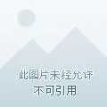 浮图缘